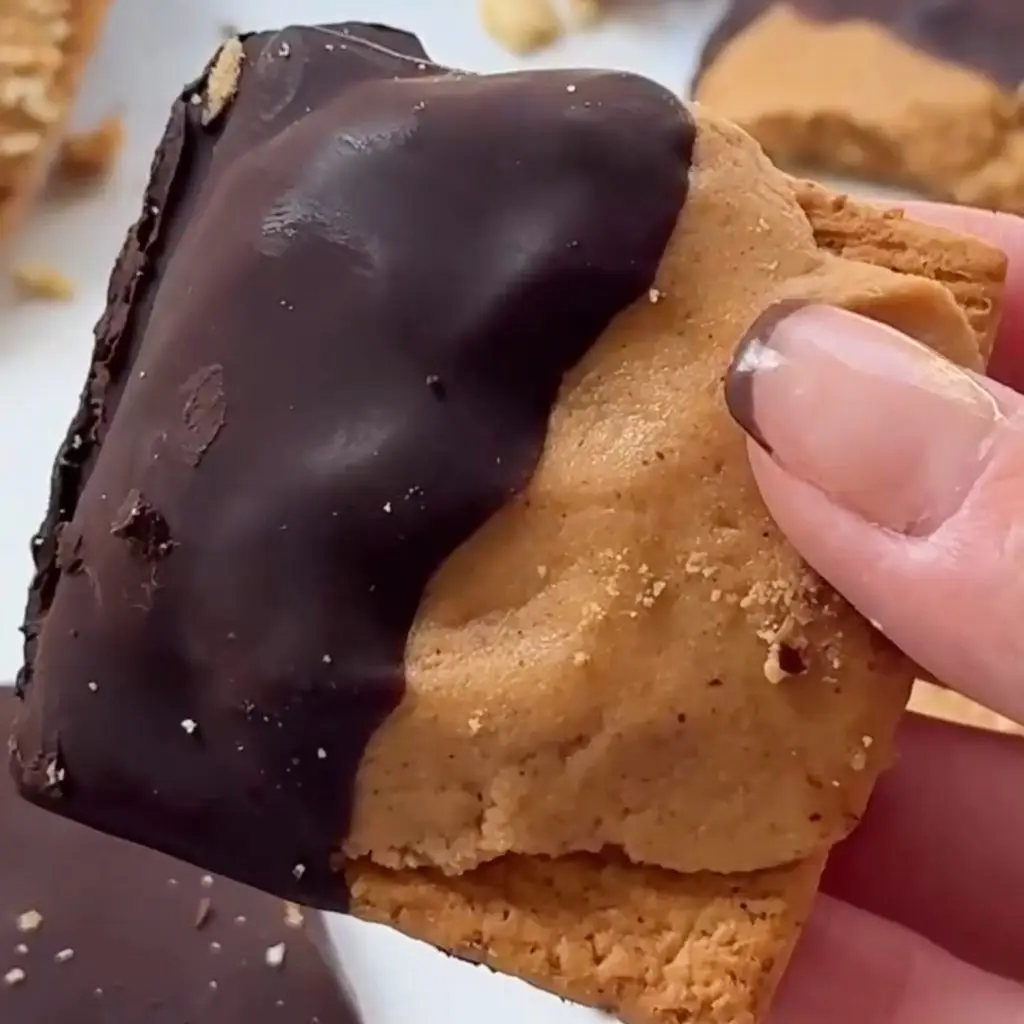 High-Protein Graham Cracker Chocolate Bites (No-Bake!)